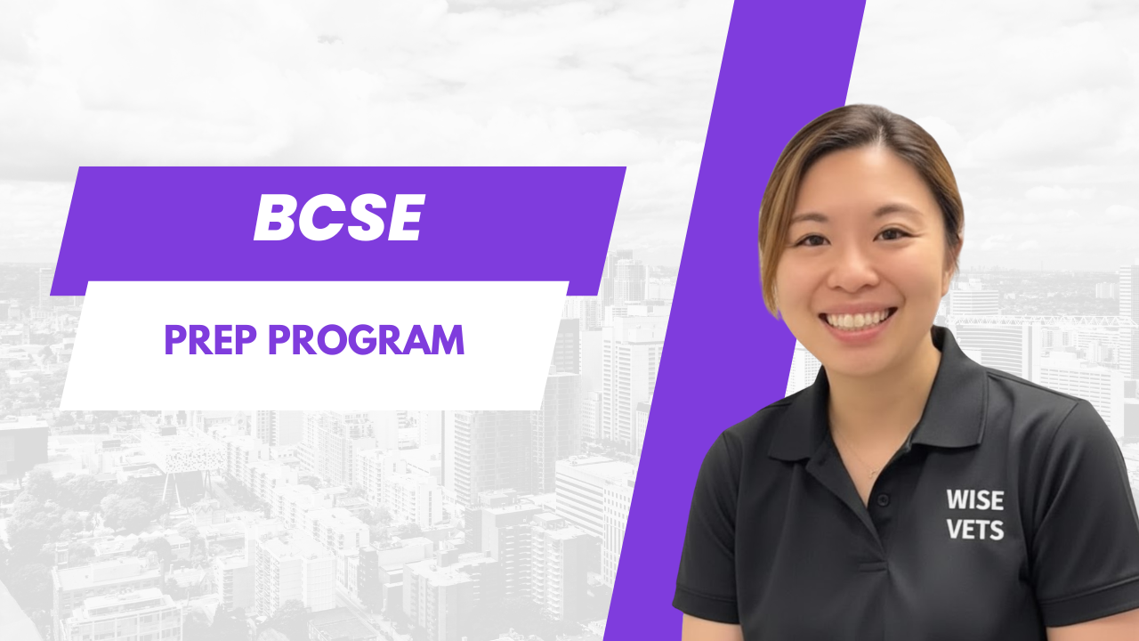Veterinary Exam Courses — NAVLE, BCSE & QSE Prep | Wise Vets Global