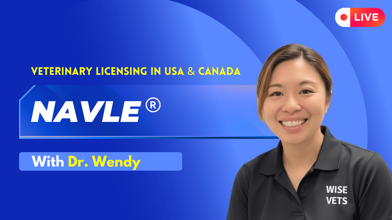 NAVLE — Veterinary Licensing Mastery — Enroll Now | Wise Vets Global